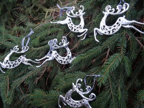 Impressionen rentiere - impressionen,